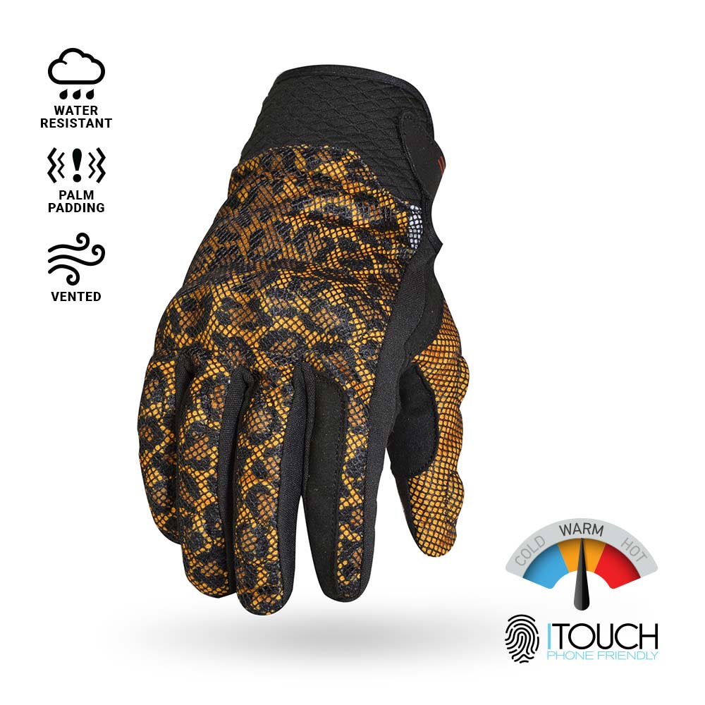 Huntington Leopard